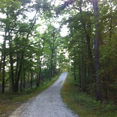 Auxier Ridge, a year after the fire